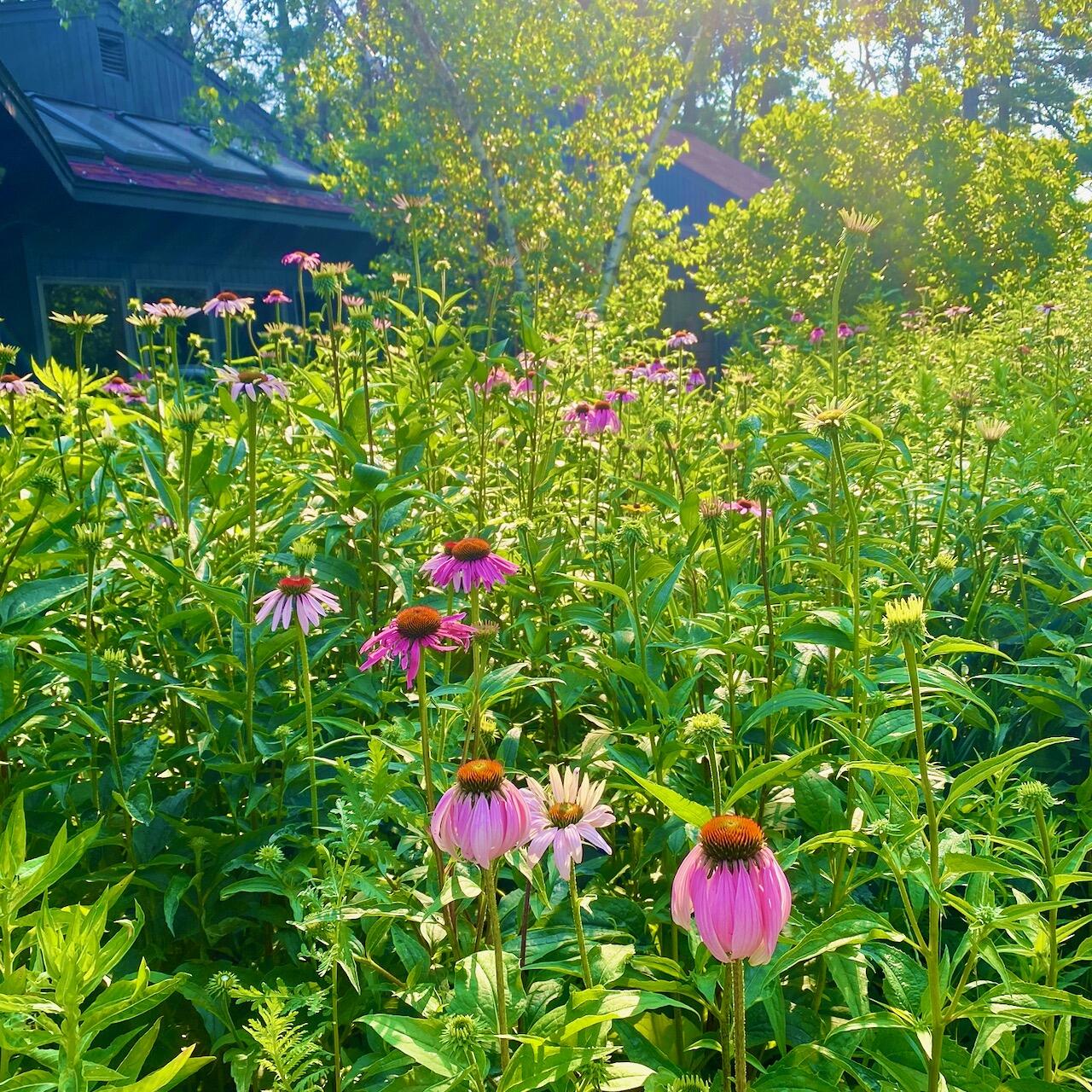 334 Johnson Road Auburn ME 04210