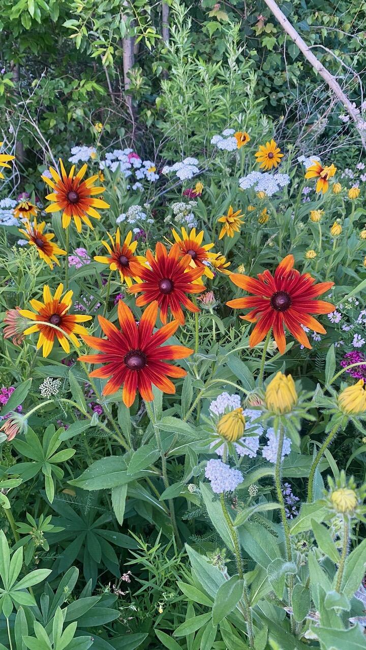 334 Johnson Road Auburn ME 04210