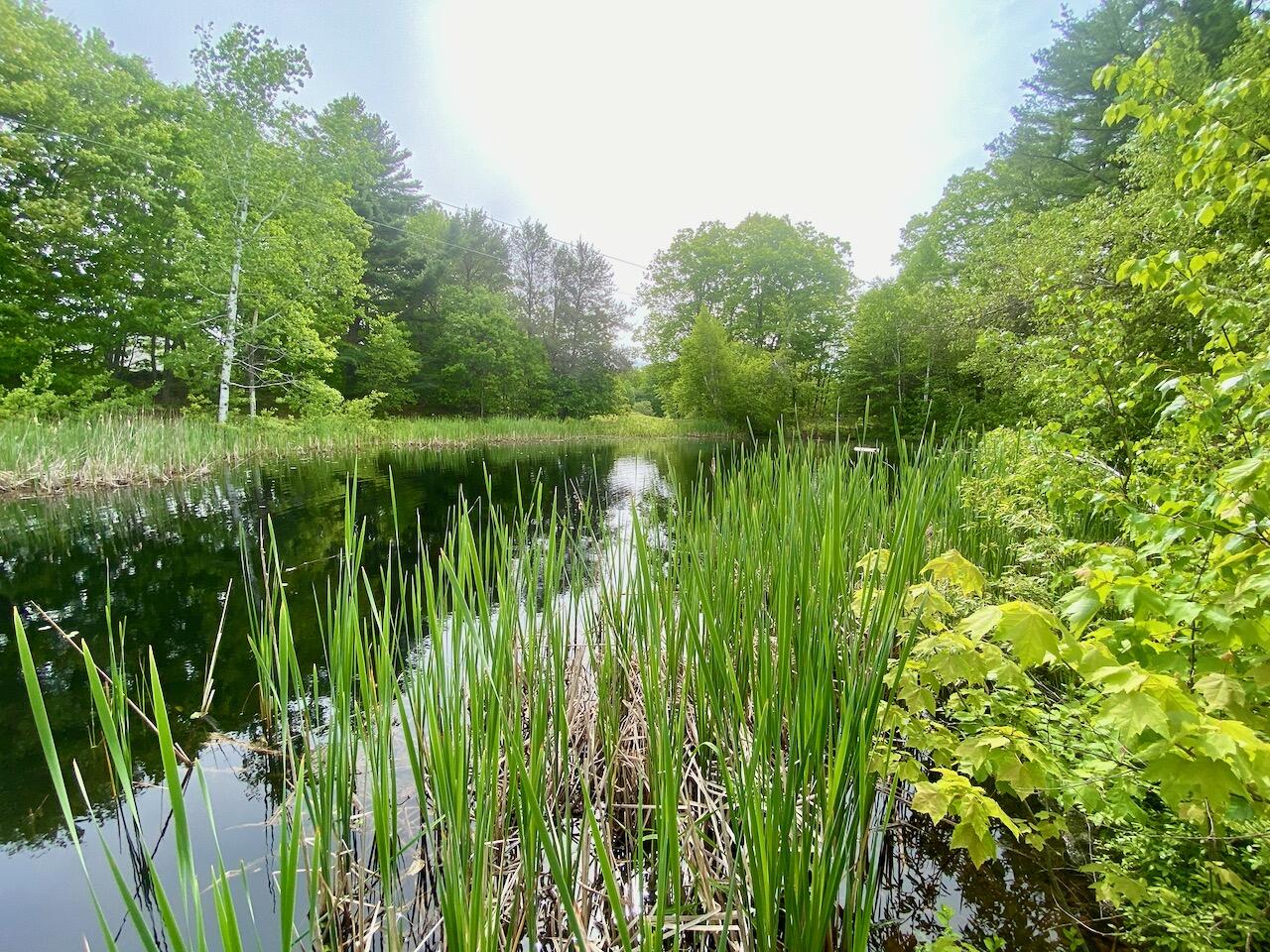 334 Johnson Road Auburn ME 04210