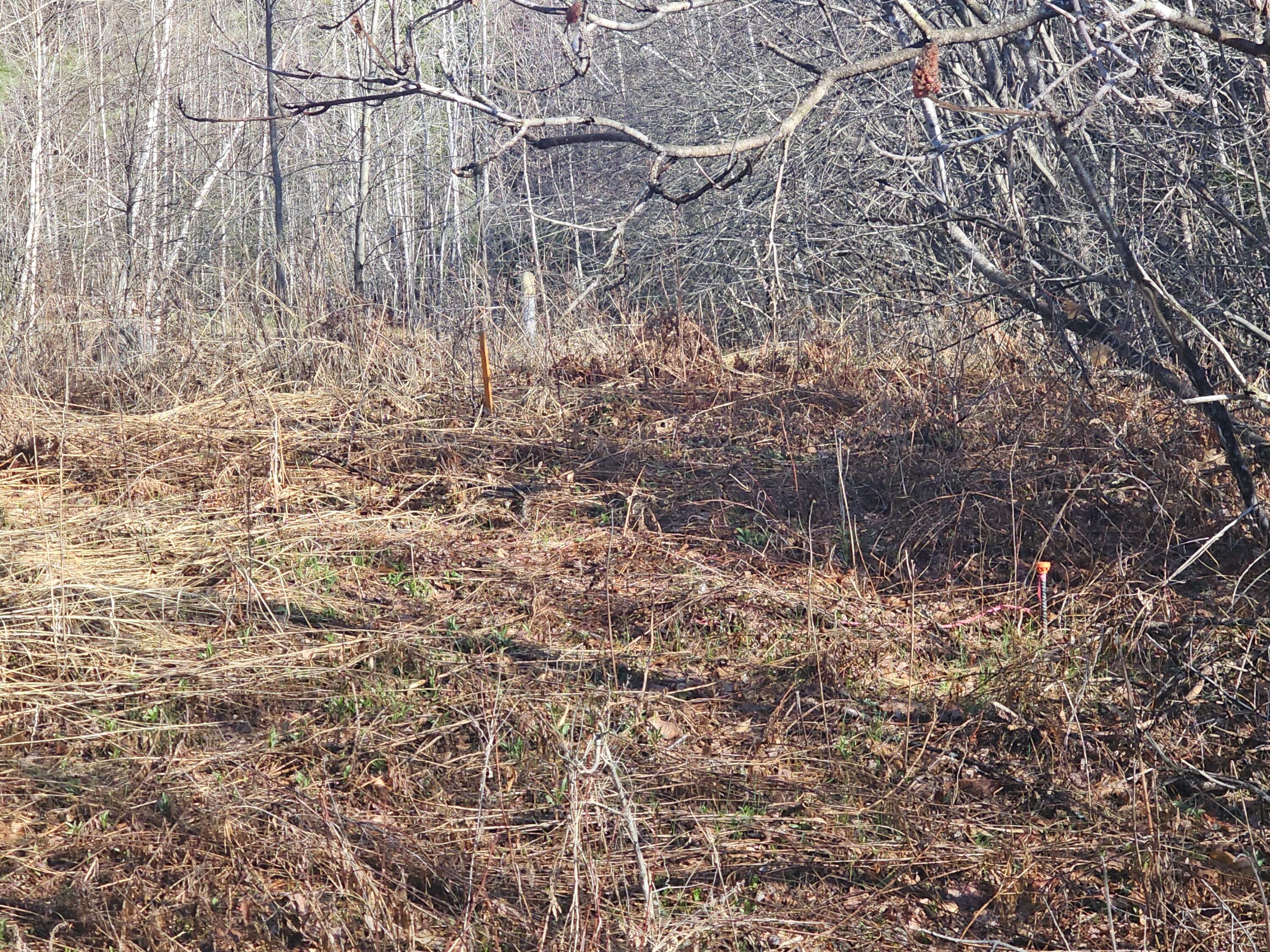 26 Evergreen Drive Otisfield ME 04270