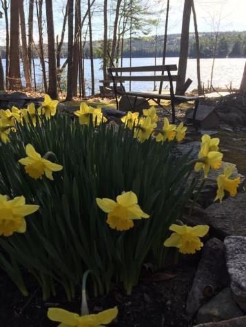73 Swans Road Raymond ME 04071