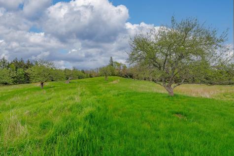 17 Barbour Farm Road Stonington ME 04681