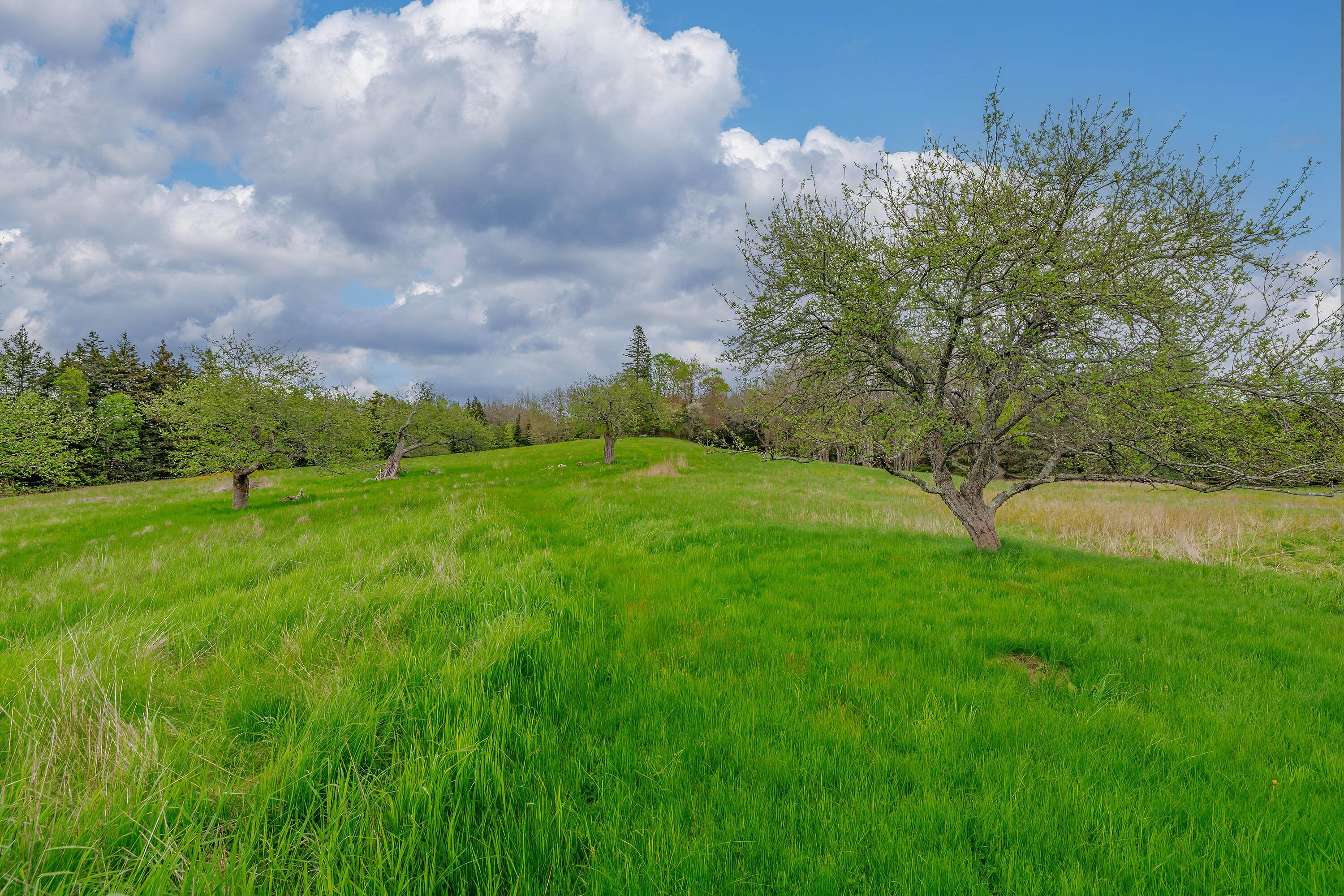 17 Barbour Farm Road Stonington ME 04681