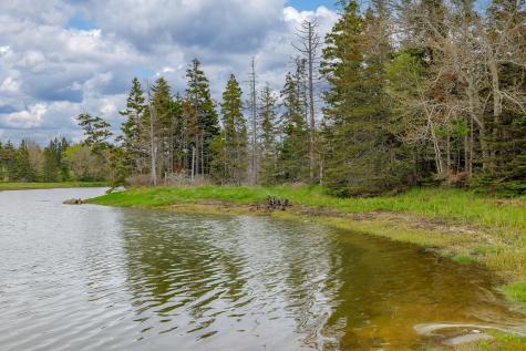 17 Barbour Farm Road Stonington ME 04681