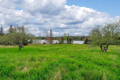 17 Barbour Farm Road Stonington ME 04681