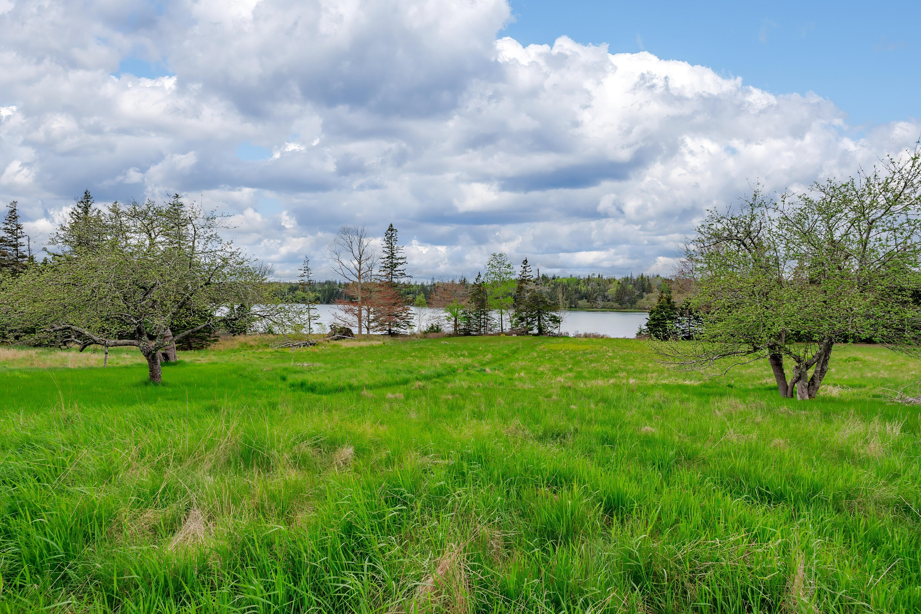 17 Barbour Farm Road Stonington ME 04681