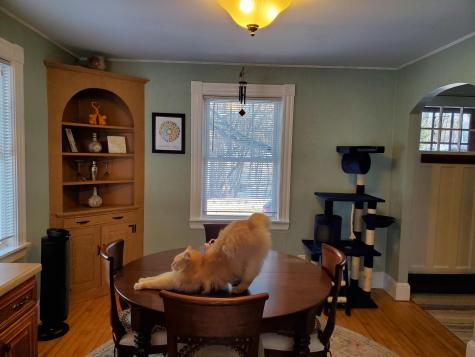 56 Gammon Avenue Auburn ME 04210