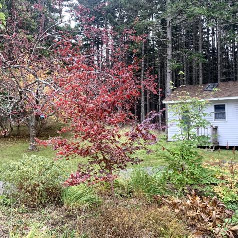 40 Deep Cove Road Eastport ME 04631