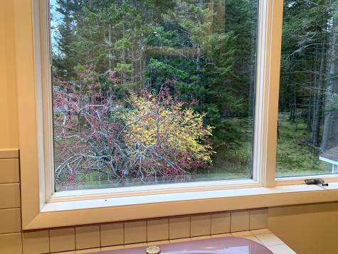 40 Deep Cove Road Eastport ME 04631