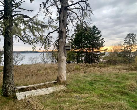 40 Deep Cove Road Eastport ME 04631