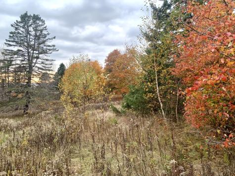 40 Deep Cove Road Eastport ME 04631