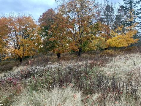 40 Deep Cove Road Eastport ME 04631