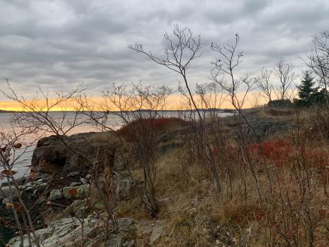 40 Deep Cove Road Eastport ME 04631