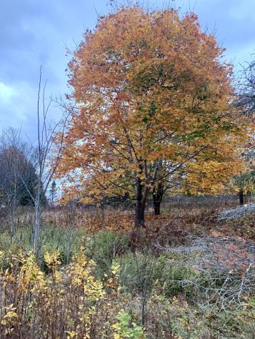 40 Deep Cove Road Eastport ME 04631