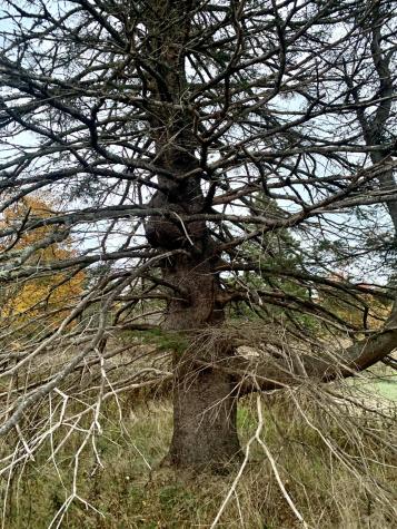 40 Deep Cove Road Eastport ME 04631