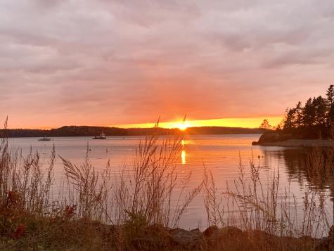 40 Deep Cove Road Eastport ME 04631