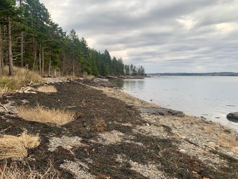 40 Deep Cove Road Eastport ME 04631