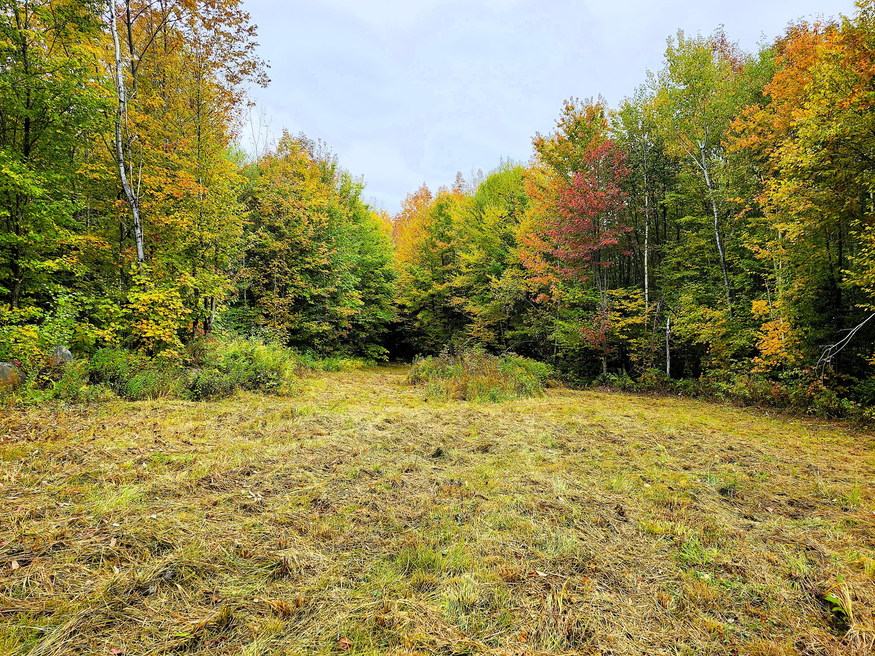 672 Meadow Lane Rumford ME 04276