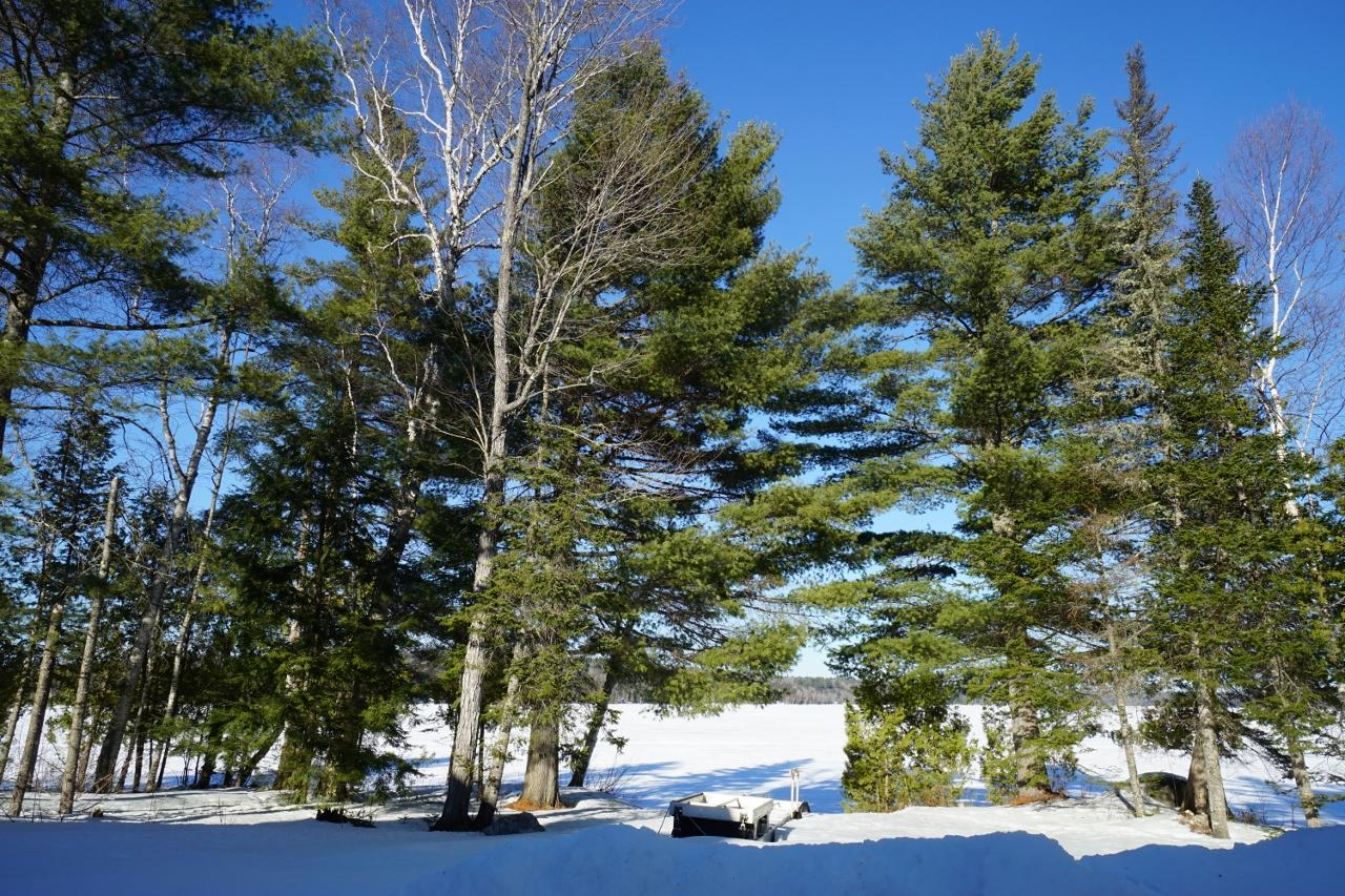 11 Salmon Road Dover-foxcroft ME 04426