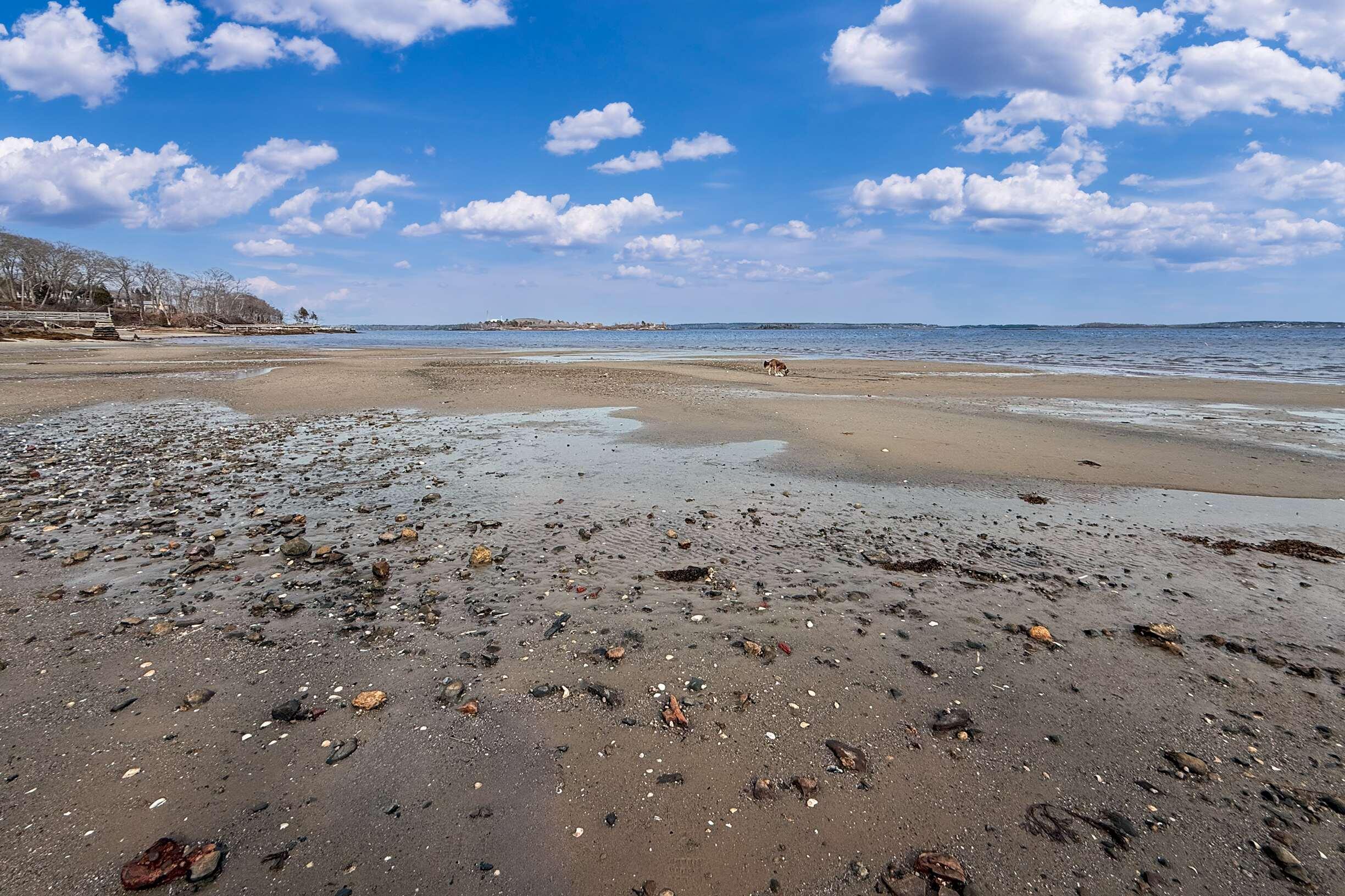 59 Underwood Road Falmouth ME 04105