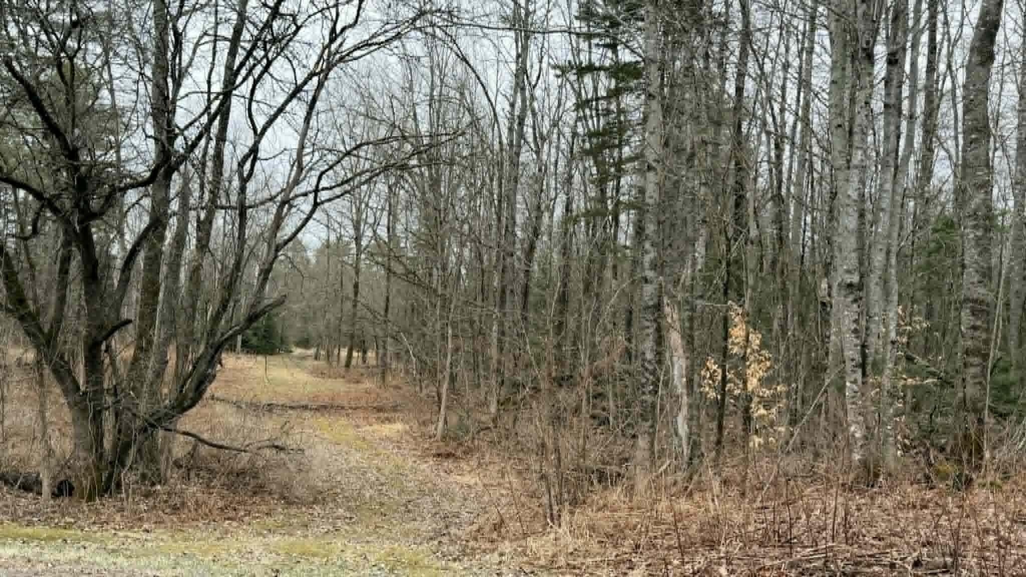 310 Mason Corner Road Saint Albans ME 04971