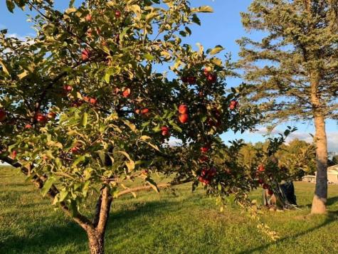 356 Range Road Atkinson ME 04426