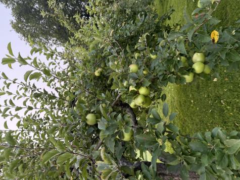 356 Range Road Atkinson ME 04426