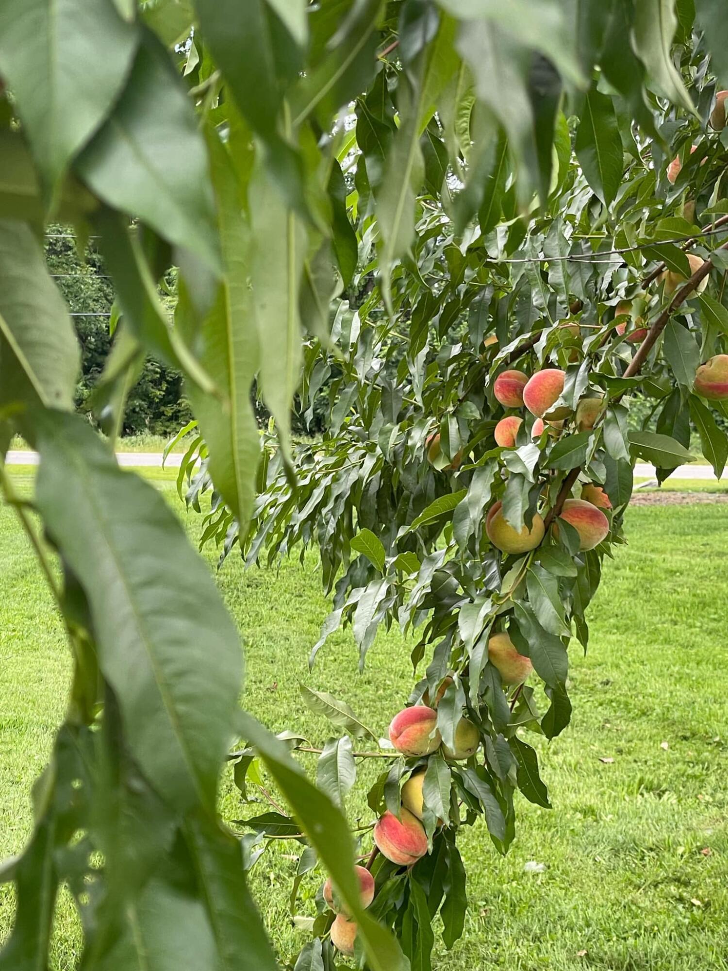 356 Range Road Atkinson ME 04426