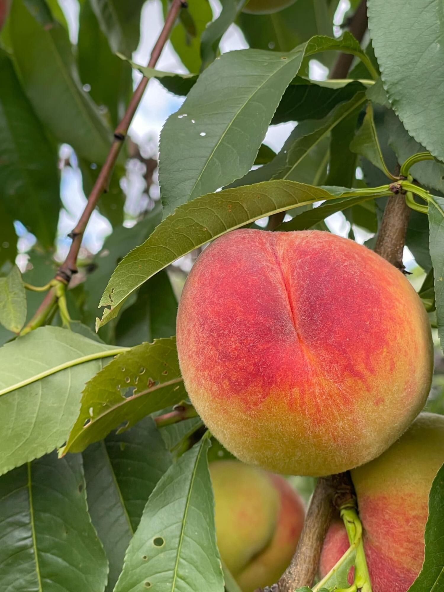 356 Range Road Atkinson ME 04426