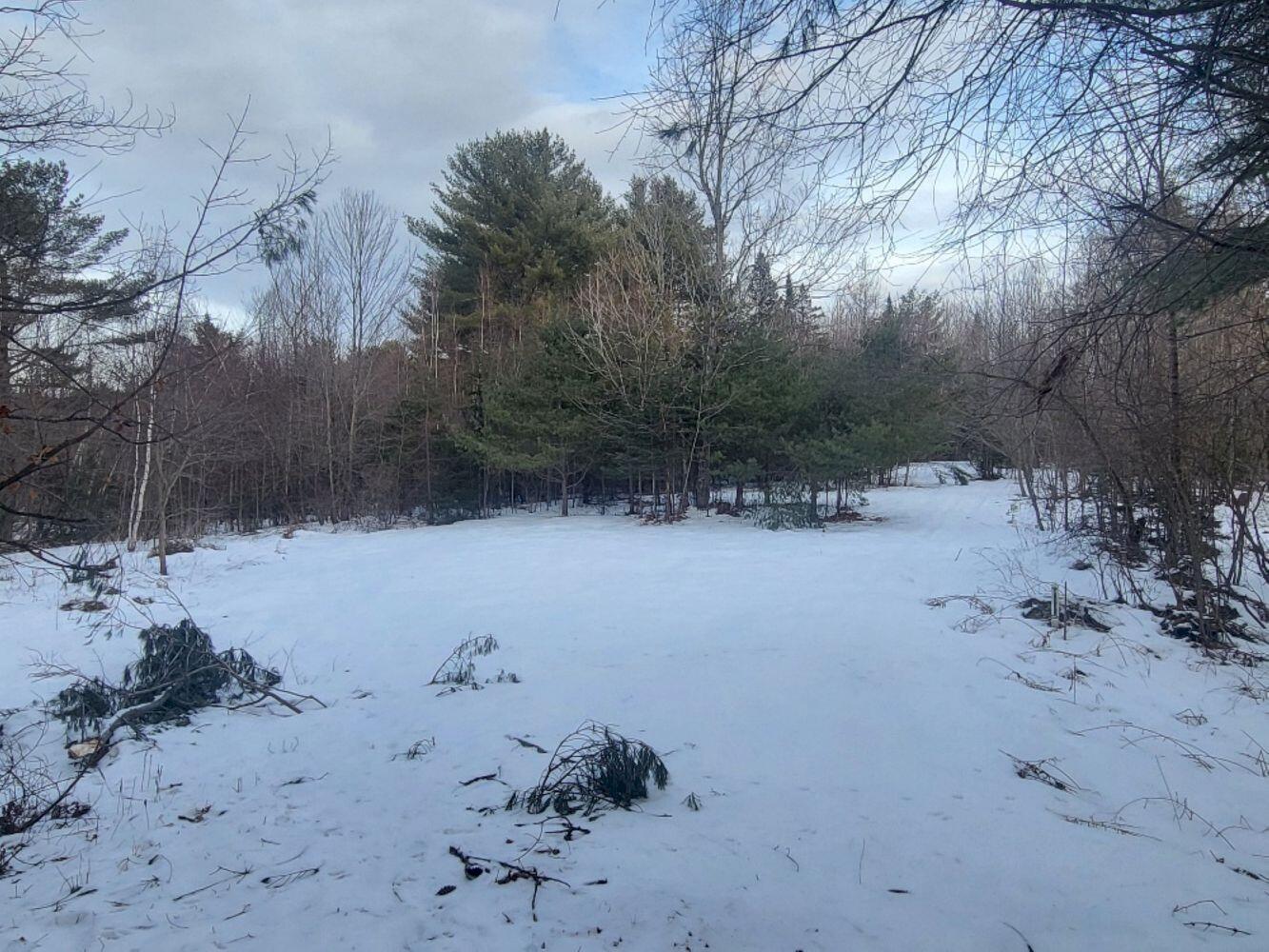 105 Zions Hill Road Chesterville ME 04938