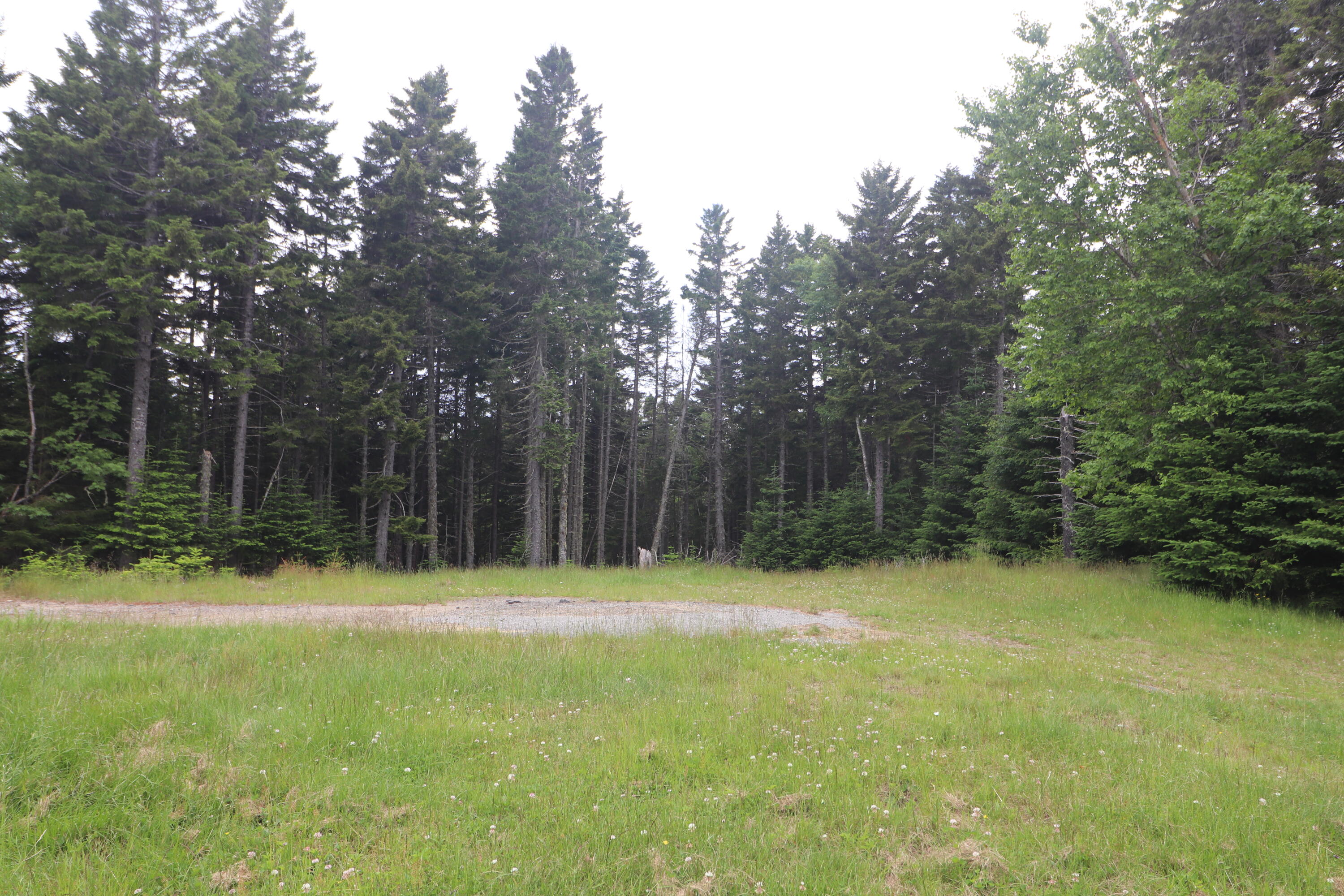 55 Black Duck Cove Road Beals ME 04611