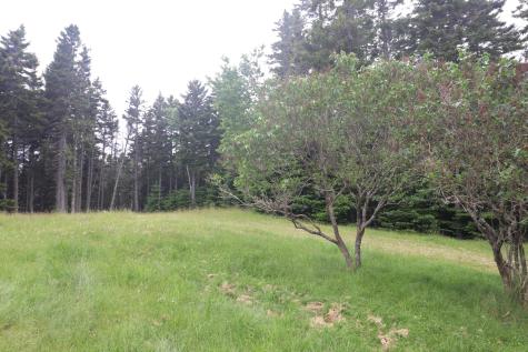 55 Black Duck Cove Road Beals ME 04611