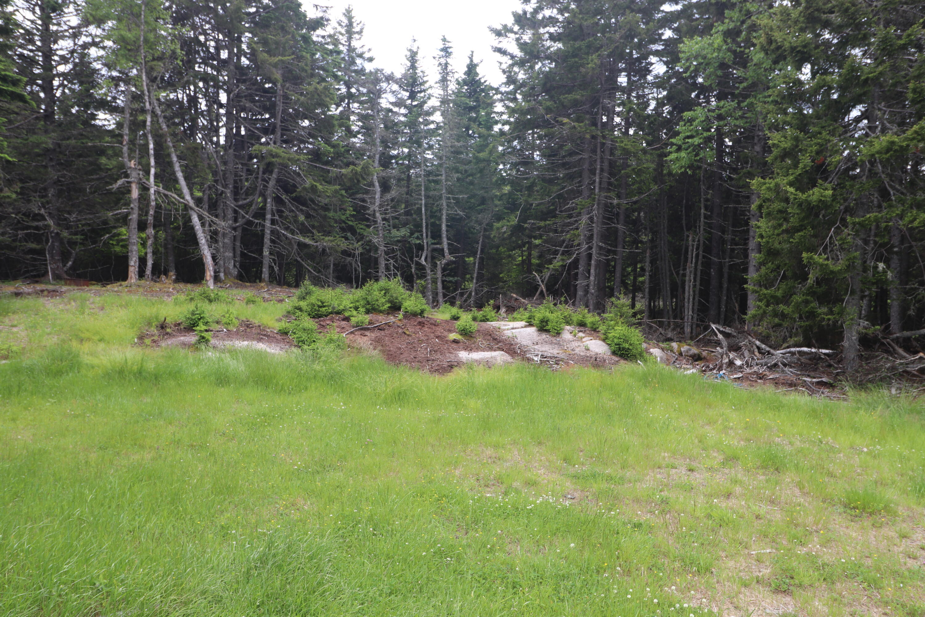 55 Black Duck Cove Road Beals ME 04611