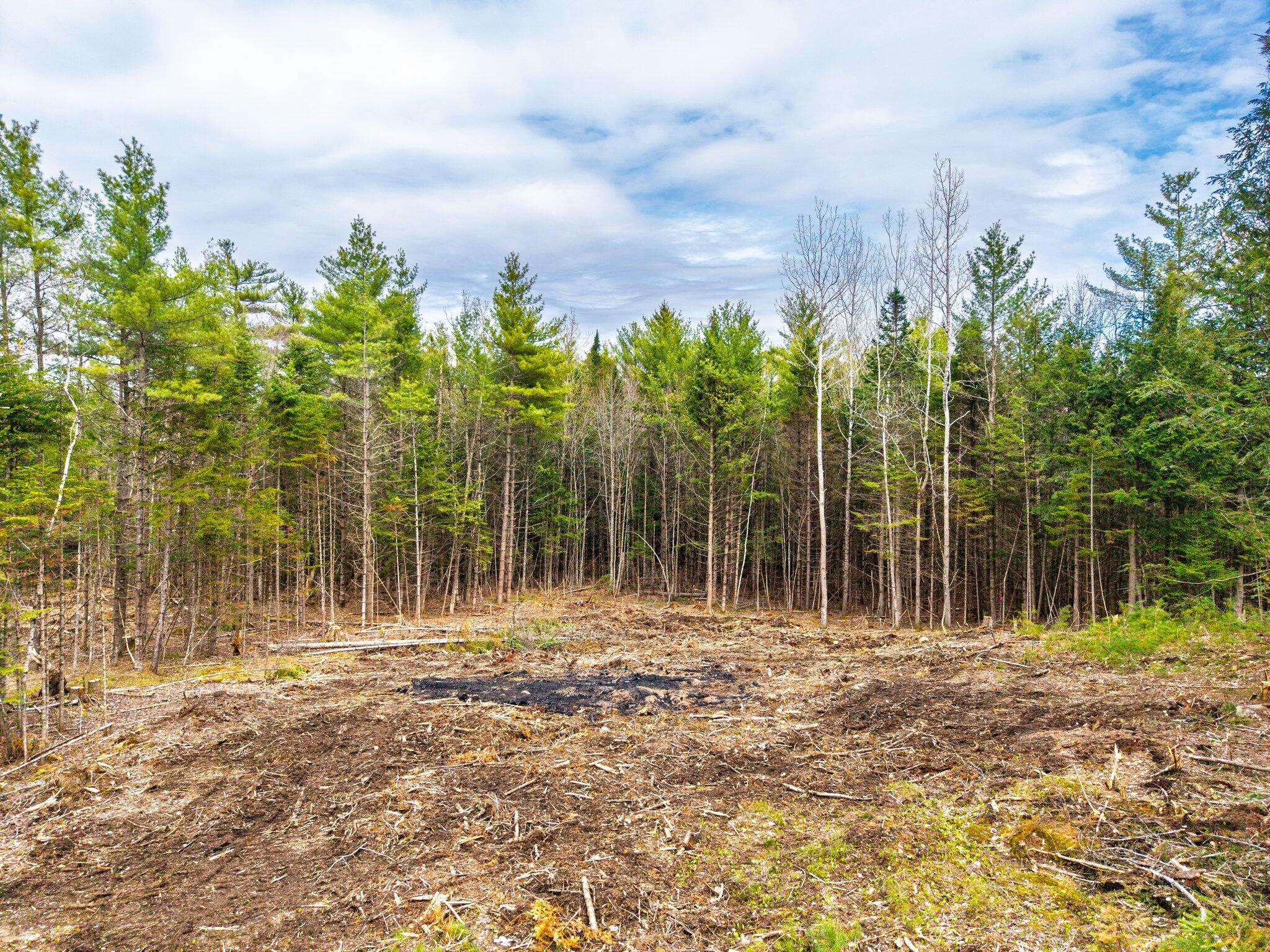 3 Forest Drive Albany Twp ME 04217