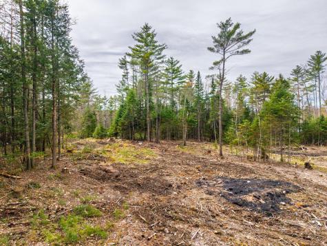 3 Forest Drive Albany Twp ME 04217