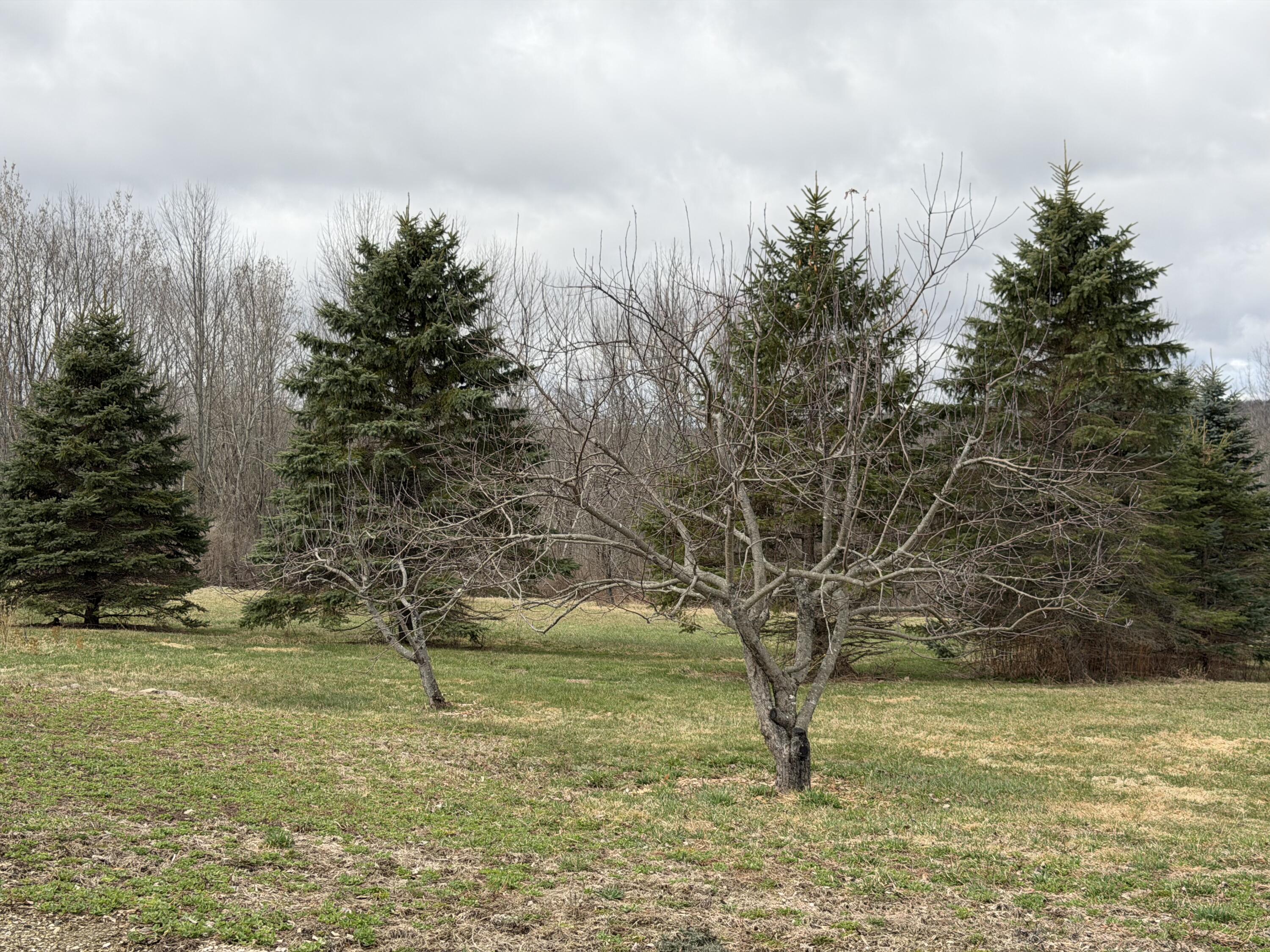 1072 Moosehead Highway Dixmont ME 04932