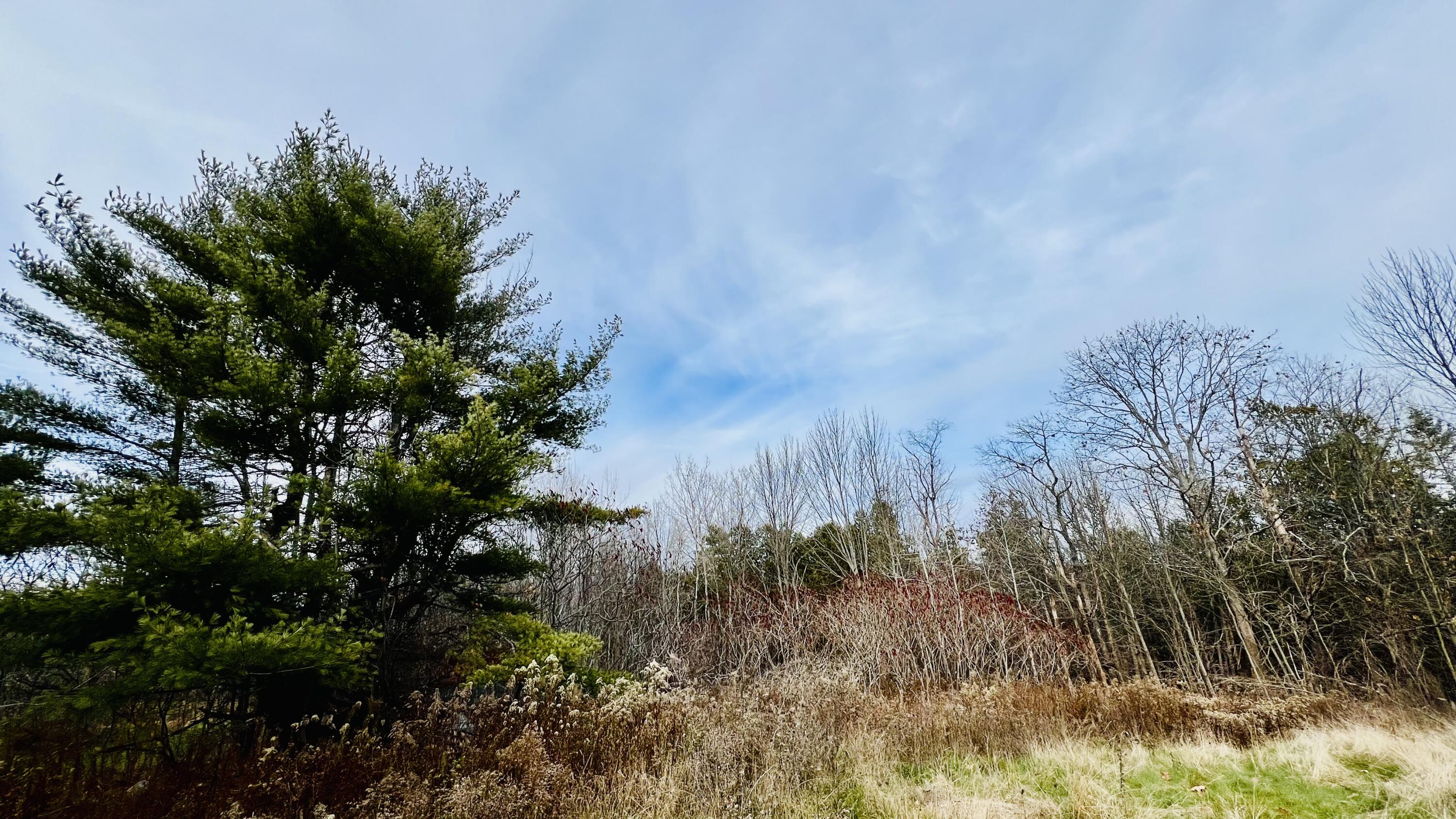 1883 Essex Street Bangor ME 04401