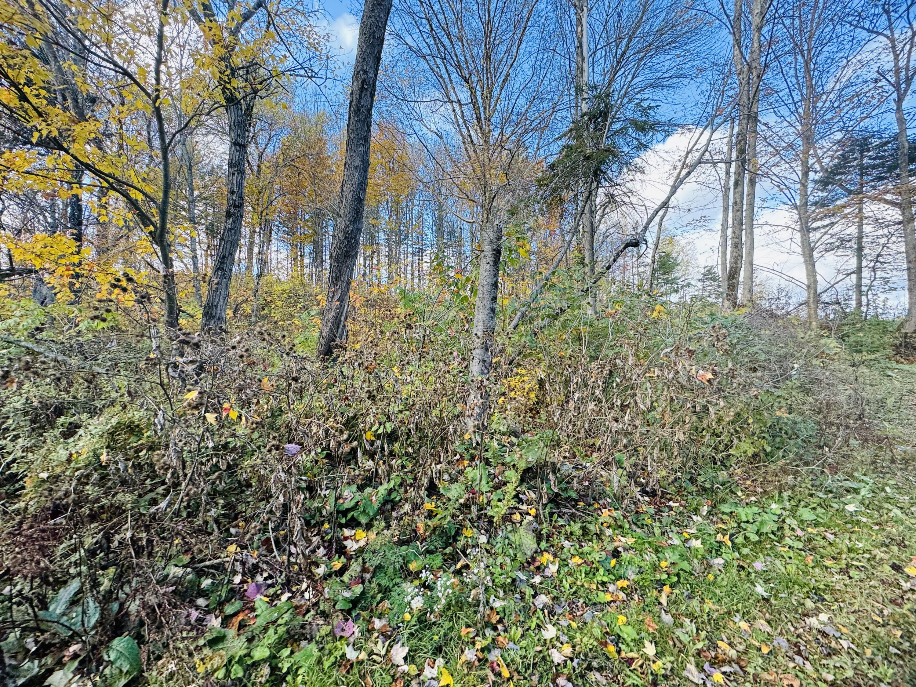 376 Fort Fairfield Road Caribou ME 04736