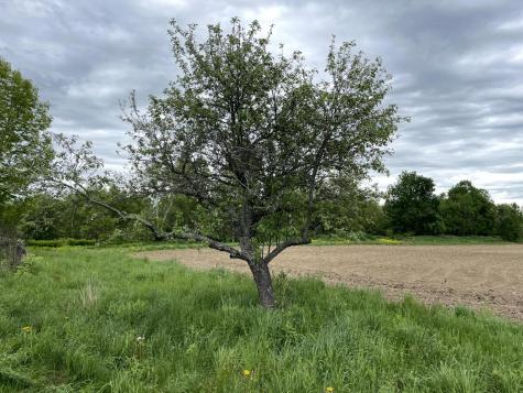 48 Laughton Road Ripley ME 04930