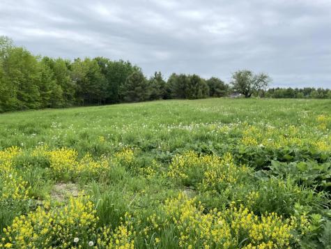 48 Laughton Road Ripley ME 04930