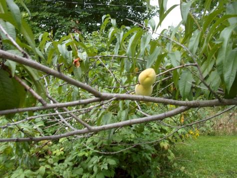 489 Stream Road Moscow ME 04920