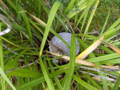 489 Stream Road Moscow ME 04920