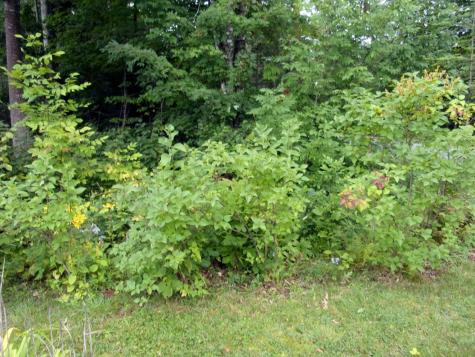 489 Stream Road Moscow ME 04920