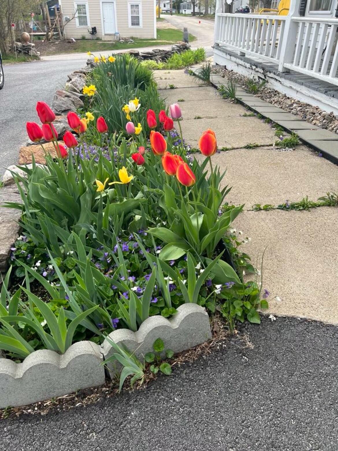 23 Park Street West Paris ME 04289