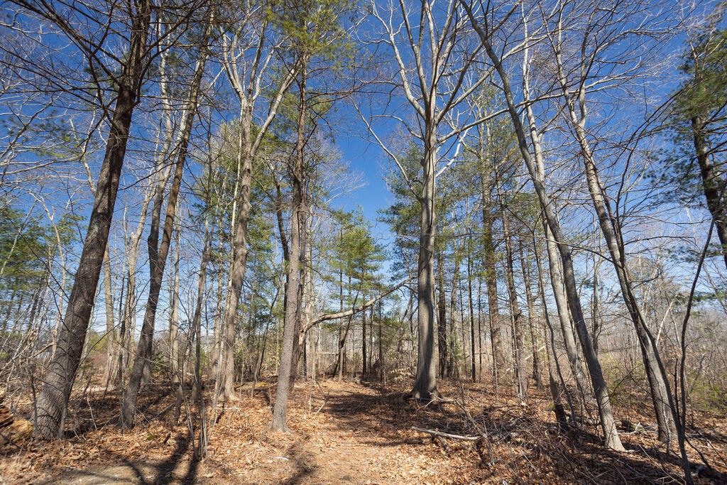 15 Winterbrook Drive York ME 03909