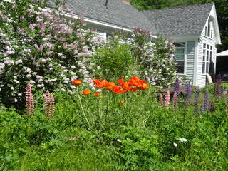 72 Woodside Road Brunswick ME 04011