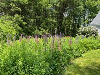 72 Woodside Road Brunswick ME 04011