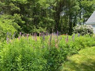 72 Woodside Road Brunswick ME 04011