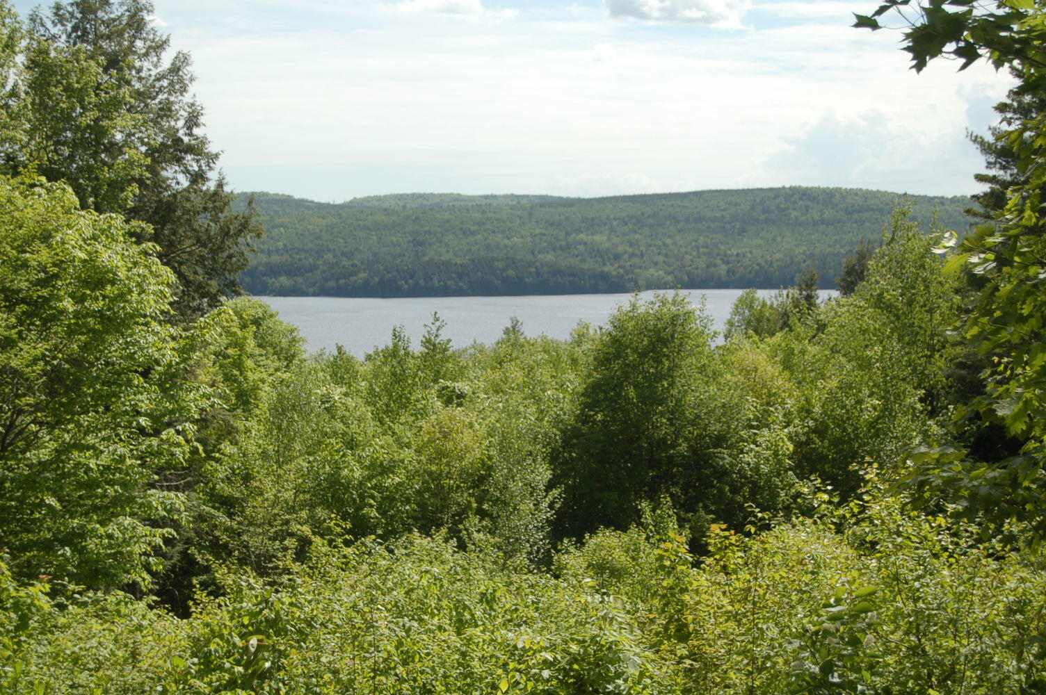 803 Main Road Burlington ME 04417