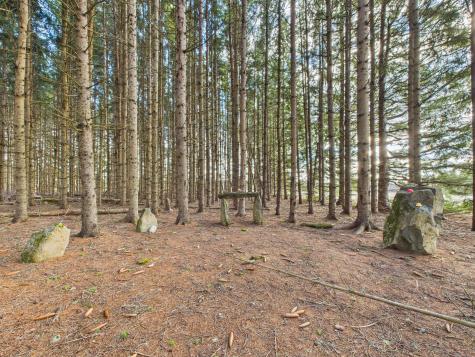 259 Old Washburn Road Caribou ME 04736